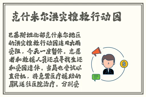 欧美精品一区二区三区久久久精品